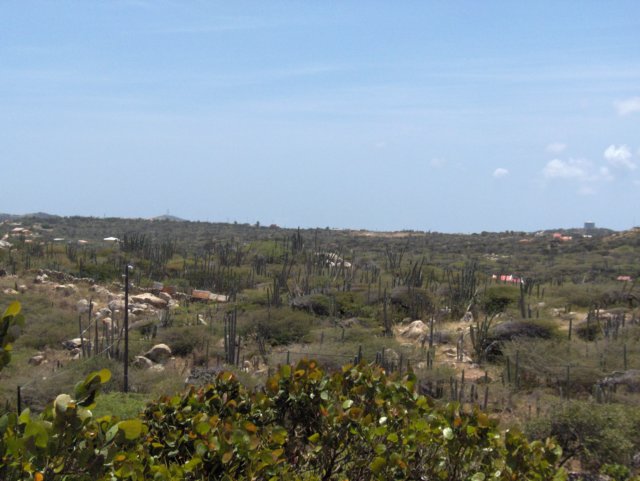 arubandesertlandscape.jpg