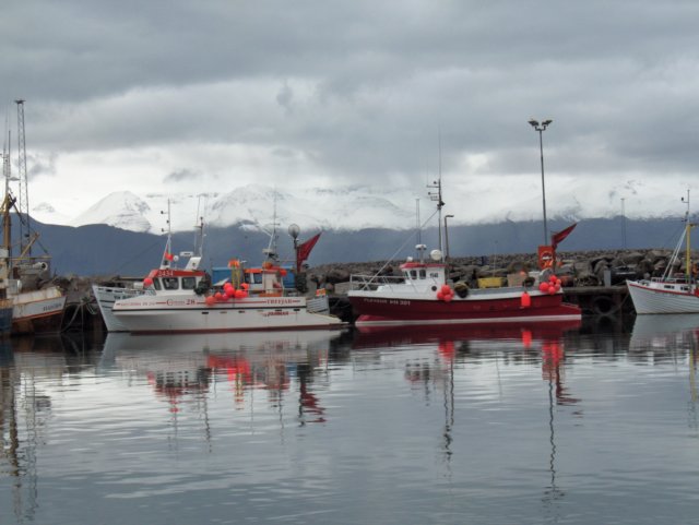 hpim0704.jpg
