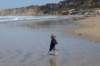 dsc00285_small.jpg