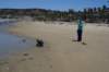 dsc00287_small.jpg