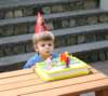 img_8378cr_small.jpg